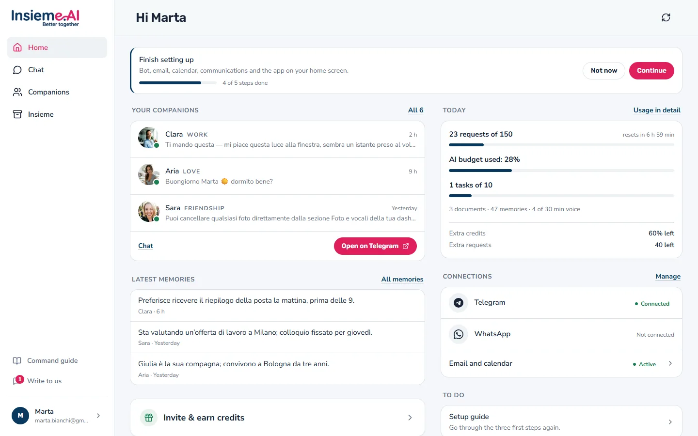 The Insieme.AI app on a computer: companions, memories, usage and connections